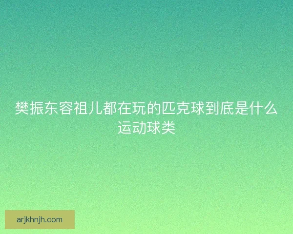 樊振东容祖儿都在玩的匹克球到底是什么运动球类